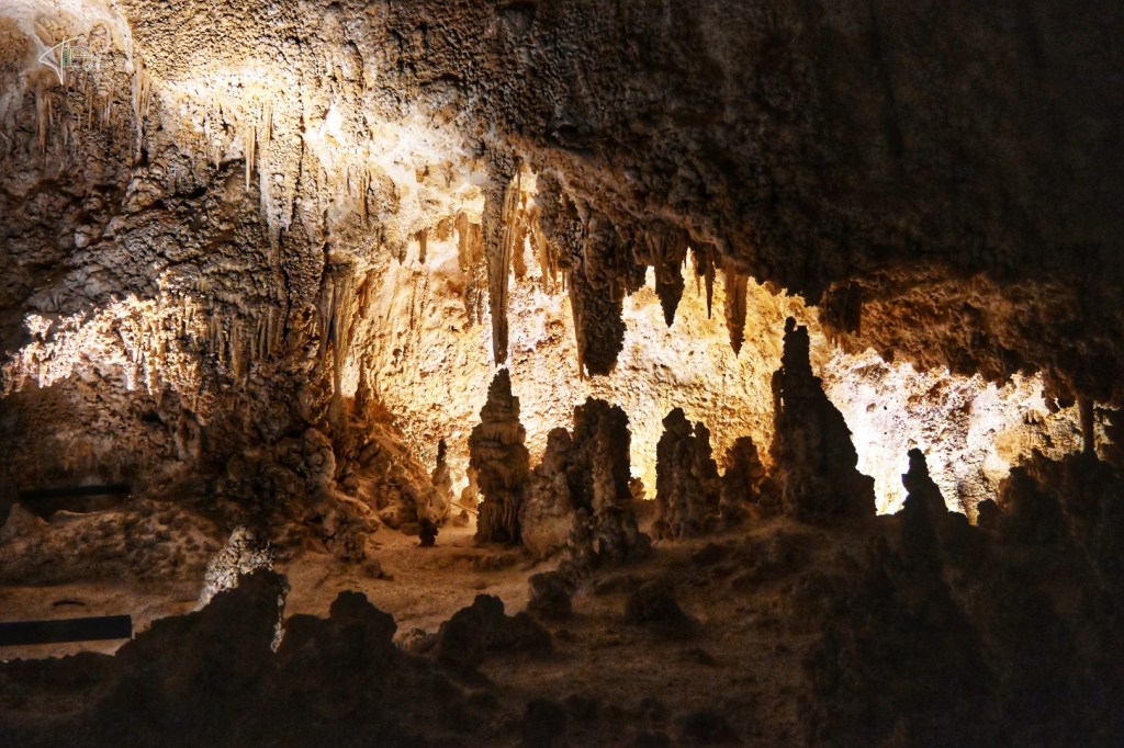 Von weißen Dünen zu dunklen Höhlen – New Mexicos Nationalparks
