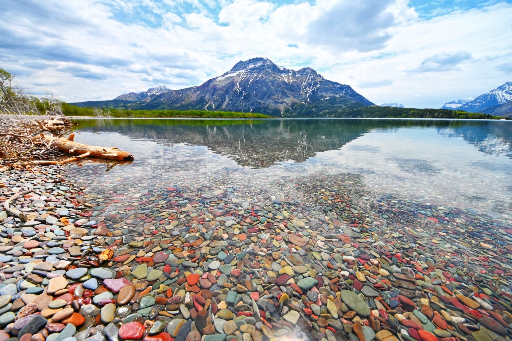 Erste Tiersichtungen und ein genialer Campingplatz – Waterton Lake NP