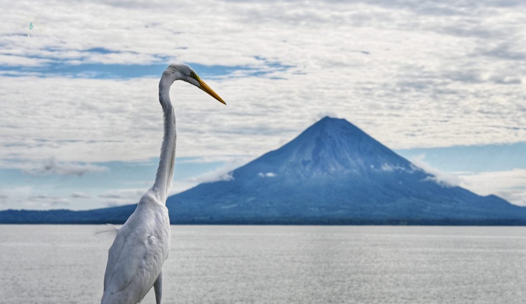 Nicaraguas Süden – Isla Ometepe und Beachlife an der Pazifikküste